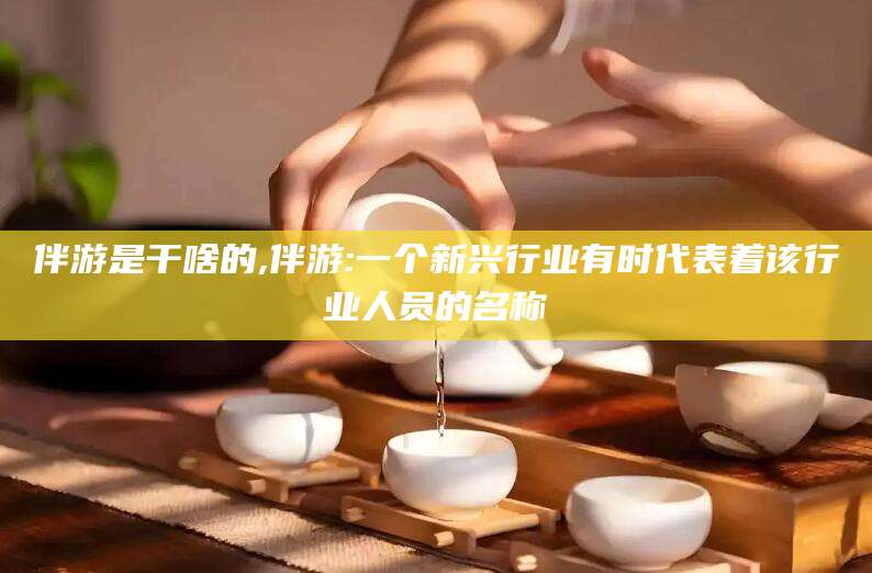 濮阳伴游是干啥的,伴游:一个新兴行业有时代表着该行业人员的名称